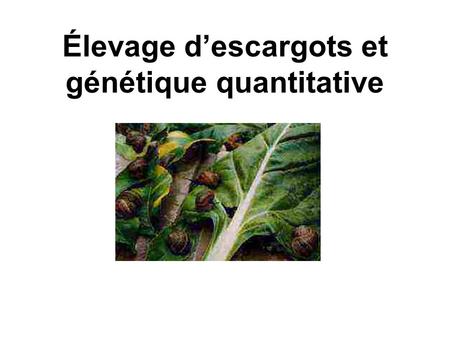 Élevage d’escargots et génétique quantitative