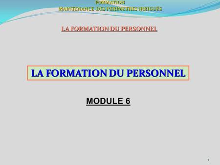 1FORMATION MAINTENANCE DES PERIMETRES IRRIGUÈS LA FORMATION DU PERSONNEL MODULE 6.