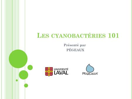 Les cyanobactéries 101 Présenté par PÉGEAUX.
