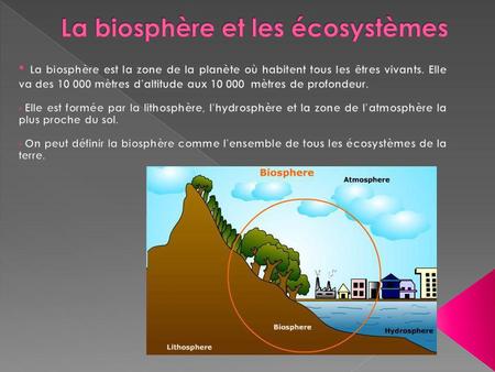 La biosphère et les écosystèmes