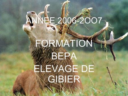 FORMATION BEPA ELEVAGE DE GIBIER