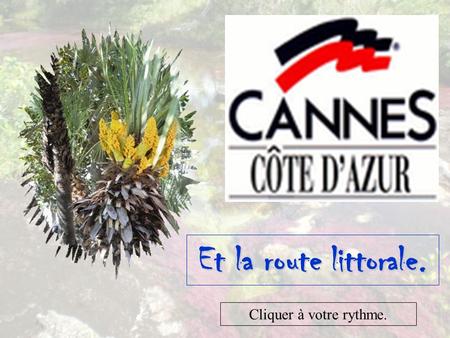 Et la route littorale. Cliquer à votre rythme. La route littorale de St Raphaël à Cannes.