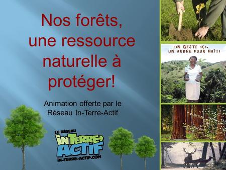 Nos forêts, une ressource naturelle à protéger! Animation offerte par le Réseau In-Terre-Actif.