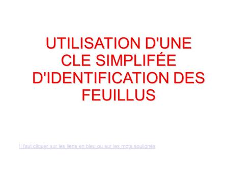 UTILISATION D'UNE CLE SIMPLIFÉE D'IDENTIFICATION DES FEUILLUS
