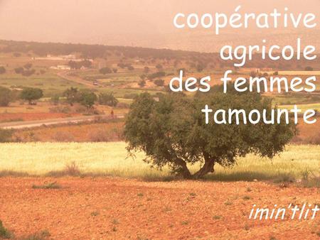 Coopérative agricole des femmes tamounte imin’tlit.