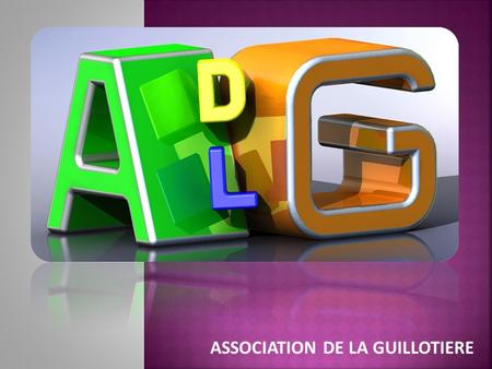 ASSOCIATION DE LA GUILLOTIERE. 4 FEVRIER 2011 19h00.