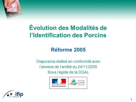 1 Évolution des Modalités de lIdentification des Porcins Réforme 2005 Diaporama réalisé en conformité avec lannexe de larrêté du 24/11/2005 Sous légide.