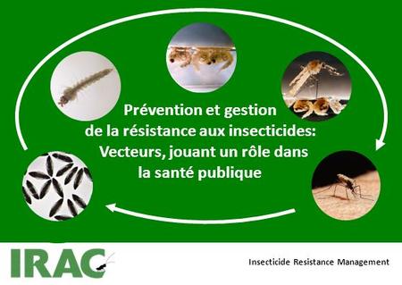 Prévention et gestion de la résistance aux insecticides:   Vecteurs, jouant un rôle dans la santé publique Insecticide Resistance Management.