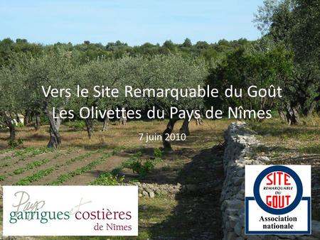 Vers le Site Remarquable du Goût Les Olivettes du Pays de Nîmes 7 juin 2010.