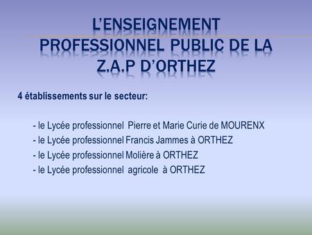 L’ENSEIGNEMENT PROFESSIONNEL PUBLIC DE LA Z.A.P D’ORTHEZ