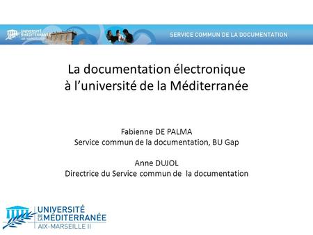 La documentation électronique à l’université de la Méditerranée