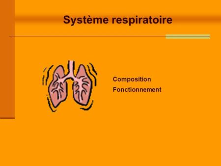 Système respiratoire Composition Fonctionnement.