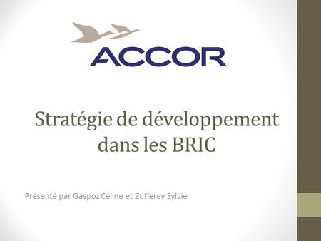 Stratégie de développement dans les BRIC