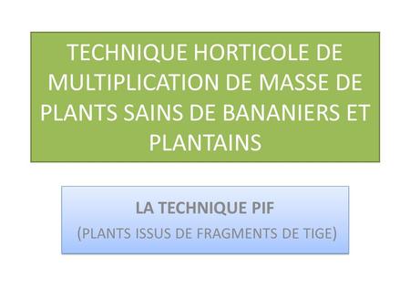 LA TECHNIQUE PIF (PLANTS ISSUS DE FRAGMENTS DE TIGE)