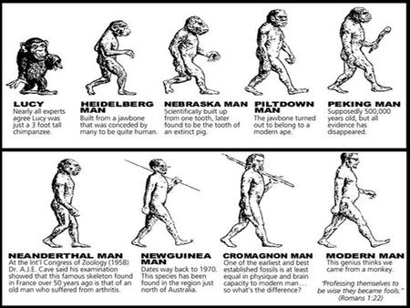 La «descendance avec modification»: L’évolution selon Darwin