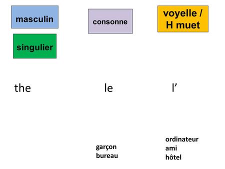 the le l’ voyelle / H muet masculin singulier consonne ordinateur ami