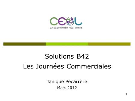 Solutions B42 Les Journées Commerciales Janique Pécarrère Mars 2012