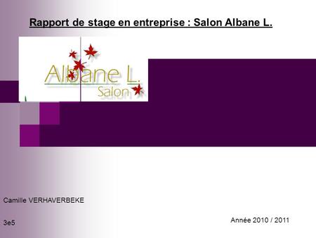 Rapport de stage en entreprise : Salon Albane L.