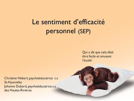 Le sentiment d’efficacité personnel (SEP)