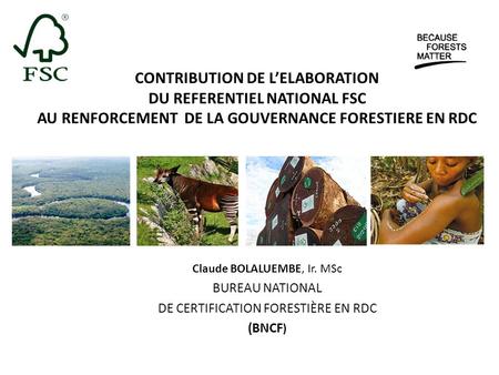 CONTRIBUTION DE L’ELABORATION DU REFERENTIEL NATIONAL FSC AU RENFORCEMENT DE LA GOUVERNANCE FORESTIERE EN RDC Claude BOLALUEMBE, Ir. MSc BUREAU NATIONAL.