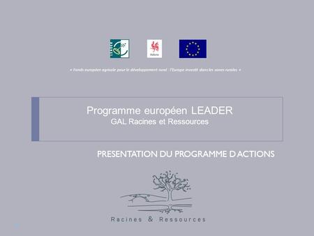 Programme européen LEADER GAL Racines et Ressources PRESENTATION DU PROGRAMME D ACTIONS « Fonds européen agricole pour le développement rural : lEurope.