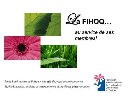 L a FIHOQ… au service de ses membres! Paule Ratté, agente de liaison et chargée de projet en environnement Sophie Rochefort, analyste en environnement.