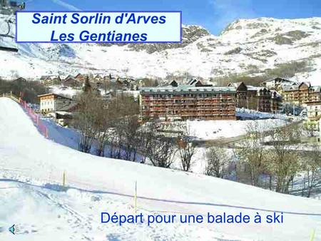 Saint Sorlin d'Arves Les Gentianes