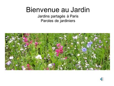 Bienvenue au Jardin Jardins partagés à Paris Paroles de jardiniers.