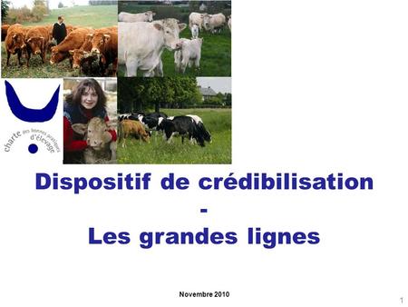 Novembre 2010 Dispositif de crédibilisation - Les grandes lignes 1.