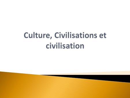 Nombreux ont été les sociologues, les historiens, les ethnologues qui ont essayé de définir la civilisation et la culture. Pourtant, cest une tâche payante.