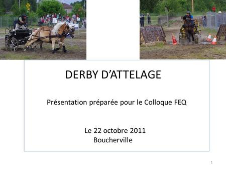 1 DERBY DATTELAGE Présentation préparée pour le Colloque FEQ Le 22 octobre 2011 Boucherville.