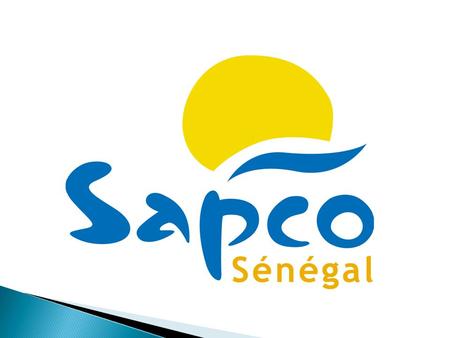 Participation de la SAPCO-SENEGAL au séminaire sur les PPP
