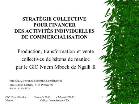 GIC Nem Mbock - Manioc Yaoundé 2006 - Minader/PARI, Odéco, Inter-réseaux/CTA 1 STRATÉGIE COLLECTIVE POUR FINANCER DES ACTIVITÉS INDIVIDUELLES DE COMMERCIALISATION.