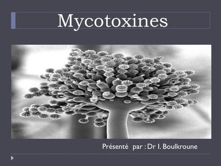 Mycotoxines Présenté par : Dr I. Boulkroune.