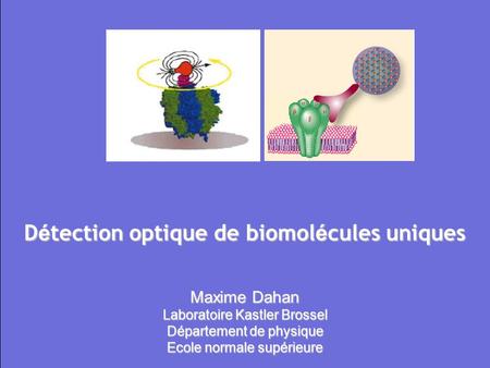 Détection optique de biomolécules uniques