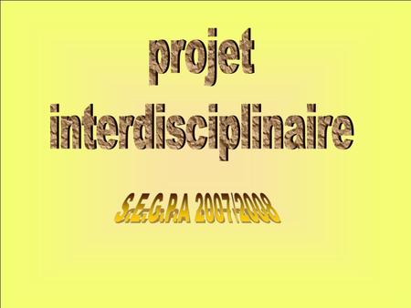 Projet interdisciplinaire S.E.G.P.A 2007/2008.
