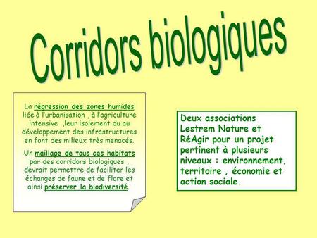 Corridors biologiques