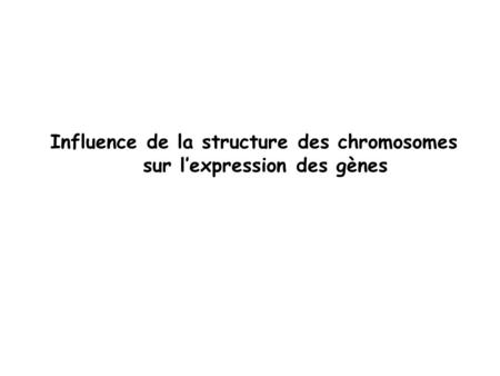 Influence de la structure des chromosomes
