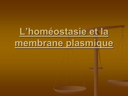 L’homéostasie et la membrane plasmique