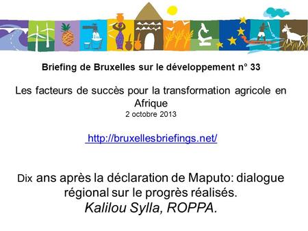 Briefing de Bruxelles sur le développement n° 33 Les facteurs de succès pour la transformation agricole en Afrique 2 octobre 2013