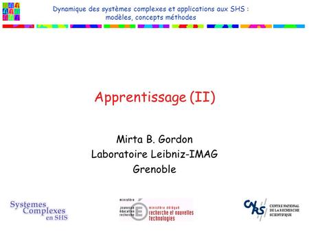 Mirta B. Gordon Laboratoire Leibniz-IMAG Grenoble