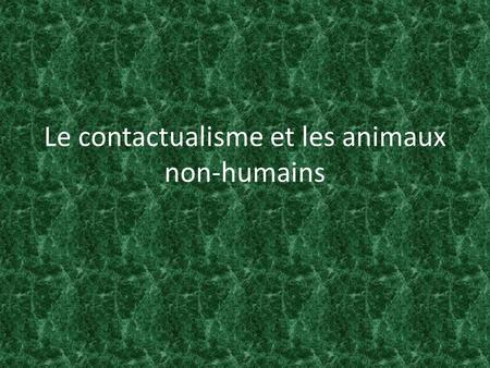 Le contactualisme et les animaux non-humains