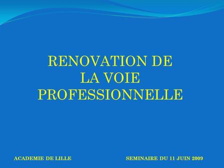 RENOVATION DE LA VOIE PROFESSIONNELLE ACADEMIE DE LILLESEMINAIRE DU 11 JUIN 2009.