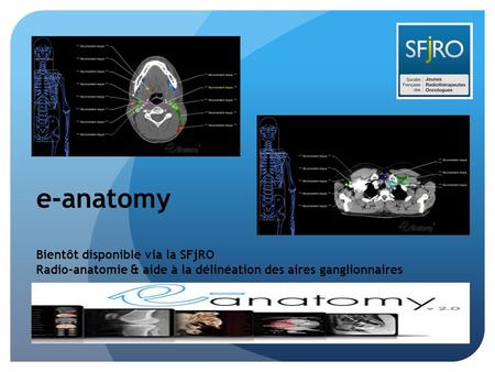 e-anatomy Bientôt disponible via la SFjRO
