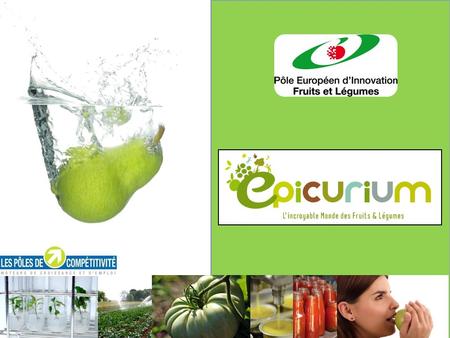 Un projet porté par le Pôle Européen d’Innovation Fruits et Légumes