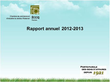 Rapport annuel 2012-2013. P ARTENAIRES FINANCIERS ET PARTENAIRES D ACTIVITÉS.