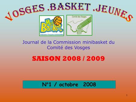 Journal de la Commission minibasket du Comité des Vosges