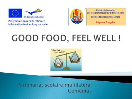 Partenariat scolaire multilatéral Comenius. Août à octobre 2010 : Ecriture du projet et recherche de partenaires européens Janvier 2011 : Visite préparatoire.