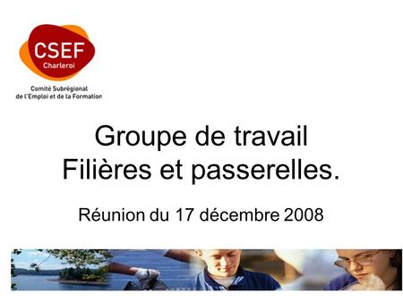 Groupe de travail Filières et passerelles. Réunion du 17 décembre 2008.