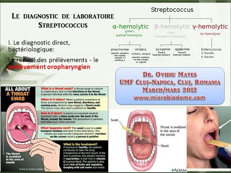 Le diagnostic de laboratoire Streptococcus